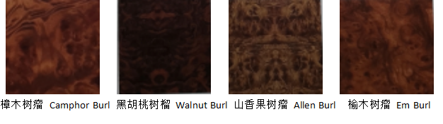 1.png 1.png